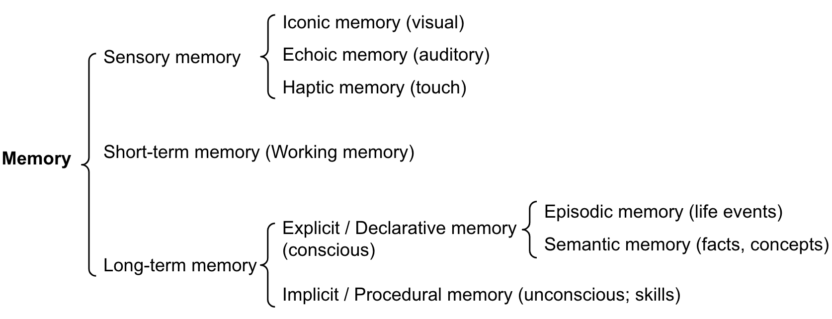 Categorization of human memory