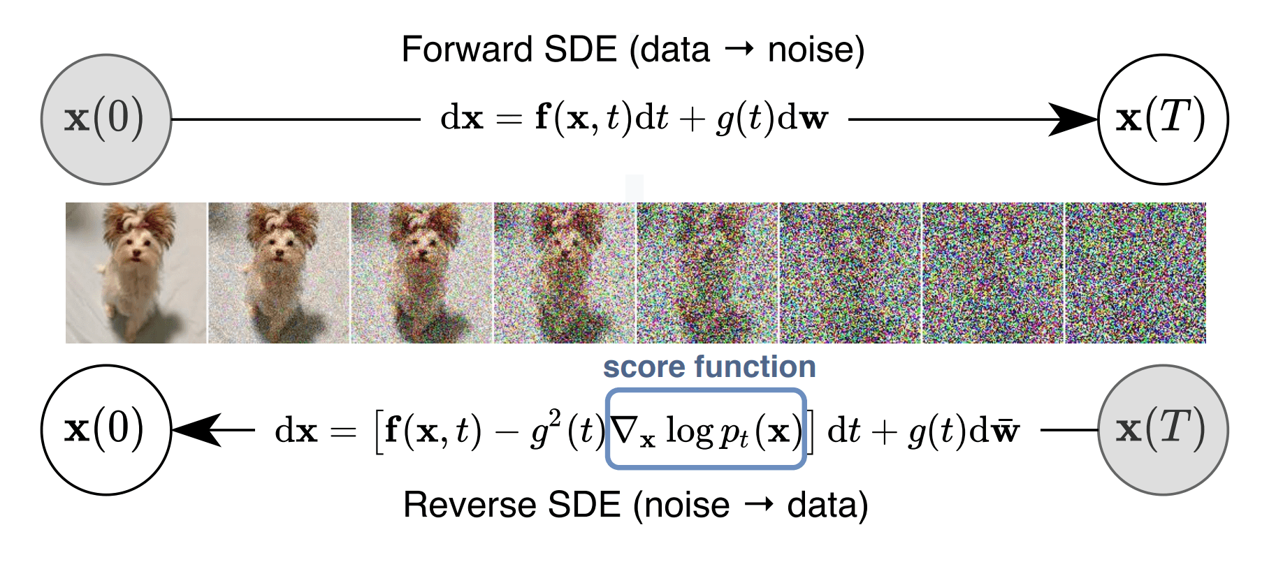 Forward diffusion